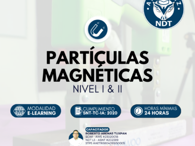 Curso de Partículas Magneticas Nivel I & II